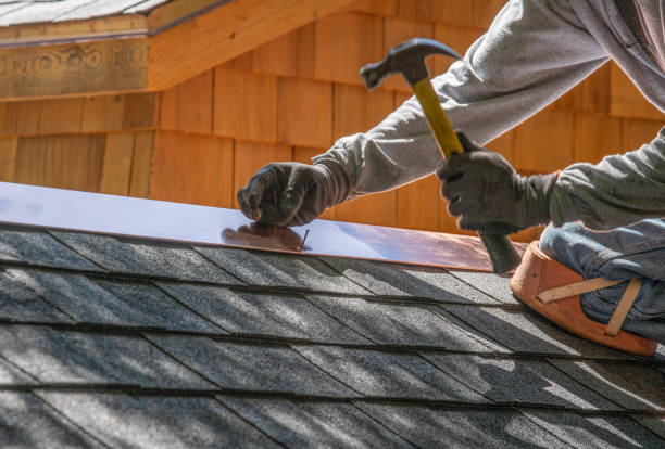 Best Roof Moss and Algae Removal  in Caro, MI