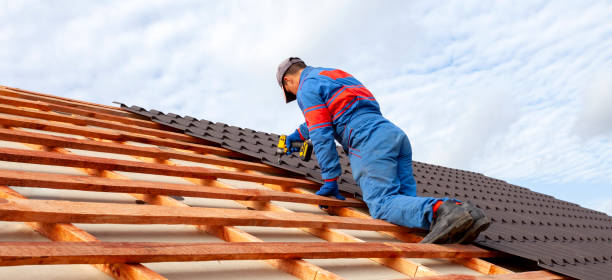 Best Storm Damage Roof Repair  in Caro, MI