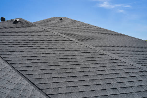 Best Asphalt Shingle Roofing  in Caro, MI