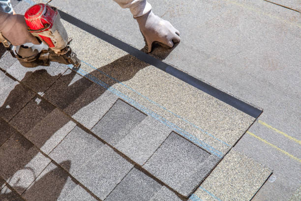 Best Roof Maintenance and Cleaning  in Caro, MI